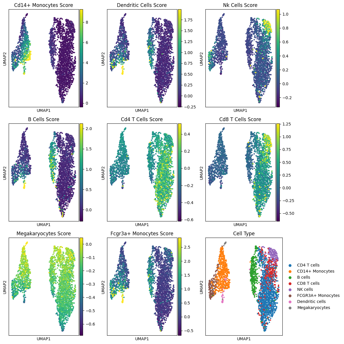 Automated Cell Type Marker Gene Scores — AnnDictionary Documentation